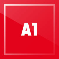 A1