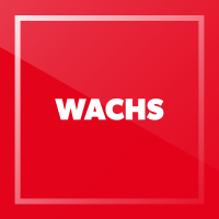 Wachs