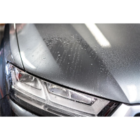 Soft99 Authentic Premium - Pure Carnauba Wax 200g