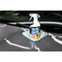 Soft99 Fukupika Spray Advance Strong Type
