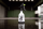 Nuke Guys Sprayer - Sprühflasche 0,5 Liter, 360 Grad, Double Aktion System