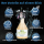 Dr. Wack P21S High End Felgenreiniger 750ml