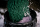 Nuke Guys - Chenille Wash Glove dark green