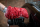 Nuke Guys - Chenille Waschhandschuh rot