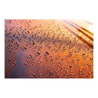 Bead+Ceramic Sealant Kit 30 ml