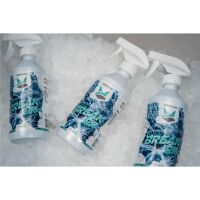 FoxedCare - Ice Breaker Scheibenenteiser, 500ml