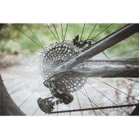 Dr.Wack F100 Chain Cleaner 300 ml