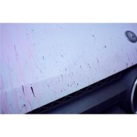 Wizard of Gloss Rust Remover Flugrostentferner 750ml