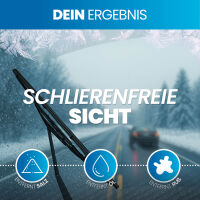 Nuke Guys AntiFrost ScheibenFrostschutz -18° 5L Gebrauchsfertig