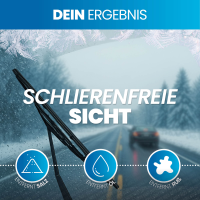 Nuke Guys AntiFrost ScheibenFrostschutz -18° 5L Gebrauchsfertig