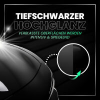 Menzerna Black Gloss & Protect Autopolitur 250ml