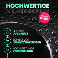 Menzerna Black Gloss & Protect Autopolitur 250ml