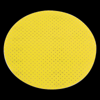 Schleifpapier Xtreme Plus D225 PF-P40 VE25 Xtreme Plus