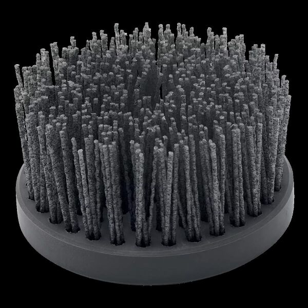 Disc brush