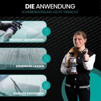 Nuke Guys EisFrei Enteiserspray 1L Sets 4x 1L Scheibenenteiser