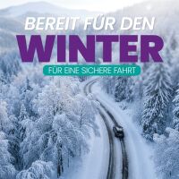 Nuke Guys EisFrei Enteiserspray 1L Sets 4x 1L Scheibenenteiser